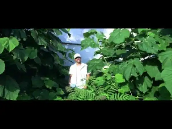 Video: Villa - Teardrop Mercedes